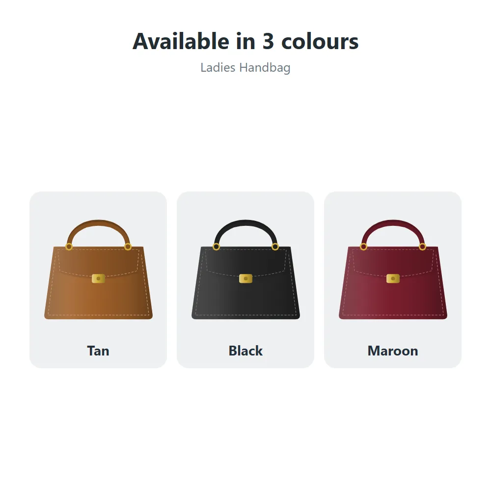 Ladies Handbag: all options