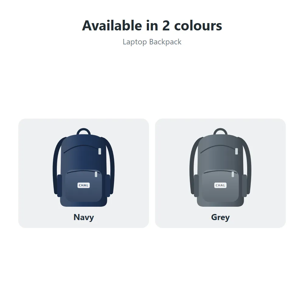 Laptop Backpack: all options