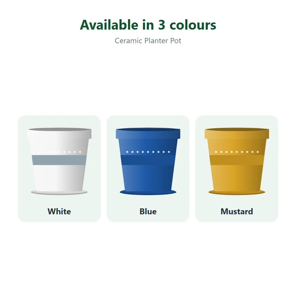 Ceramic Planter Pot: all options