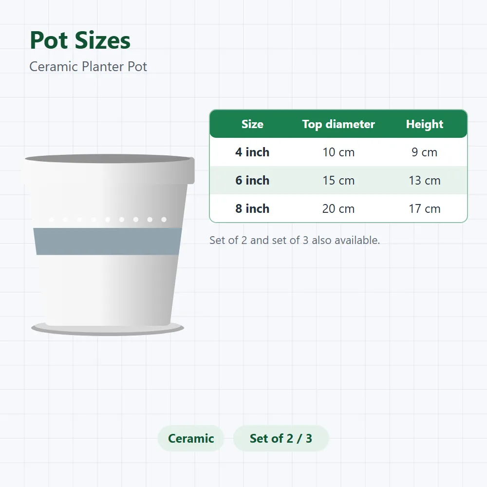 Ceramic Planter Pot: size and dimensions