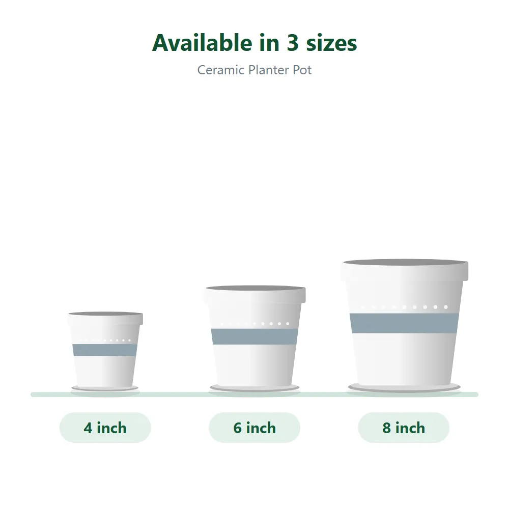 Ceramic Planter Pot: sizes compared