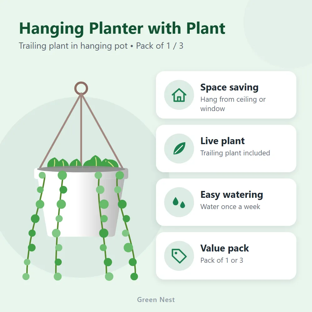 Hanging Planter with Plant: features