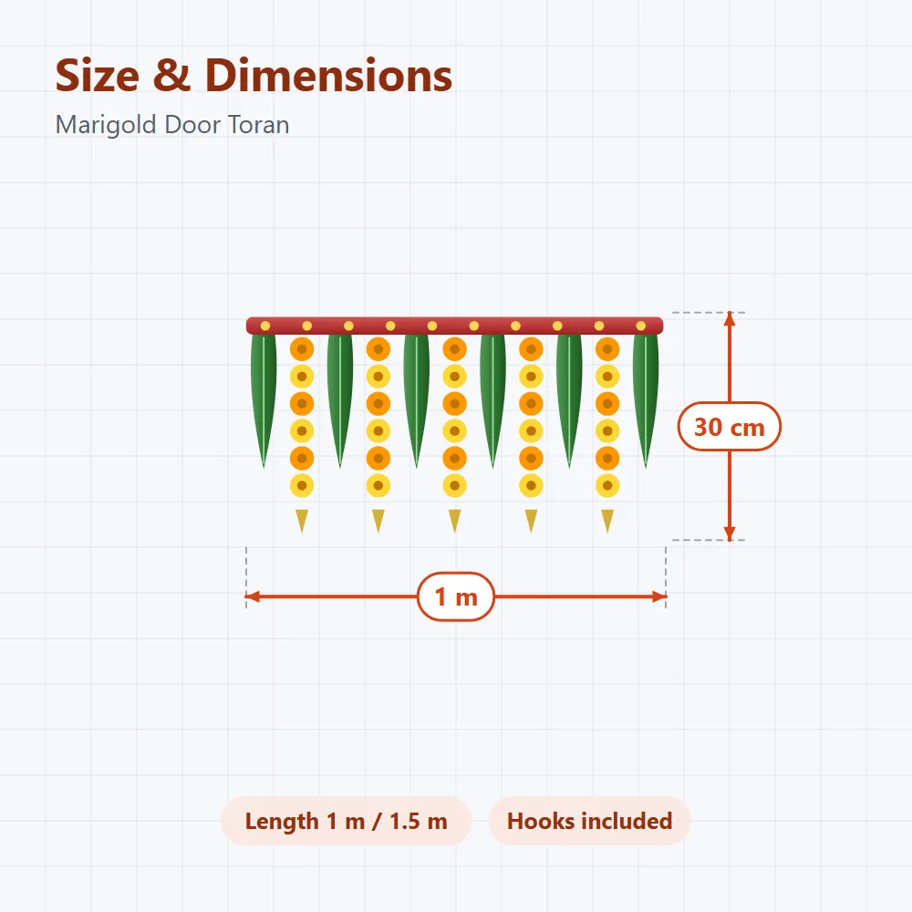 Marigold Door Toran: size and dimensions